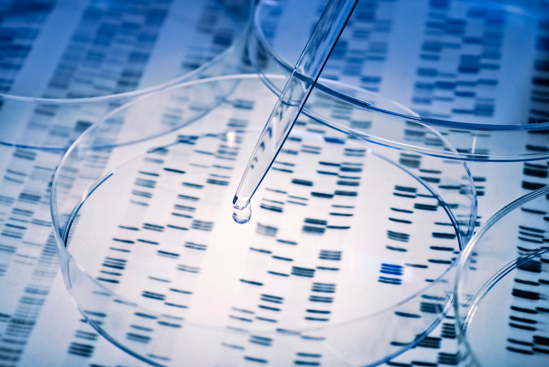 DNA with pipette and Petri dish
