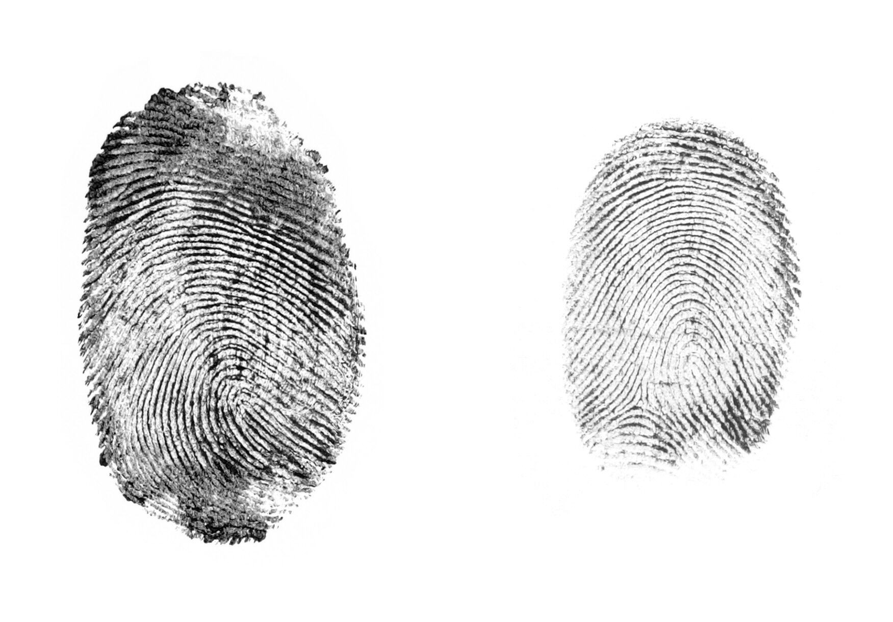 fingerprints